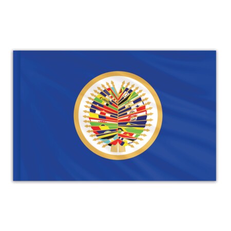 OAS Indoor Nylon Flag 2'x3'